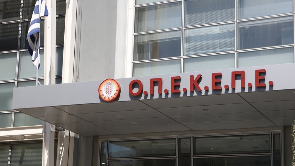 Οι δικογραφίες στα χέρια του εισαγγελέα - Στη Δικαιοσύνη οι πρώτες υποθέσεις